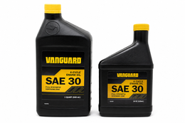 Briggs & Stratton Vanguard 100400 & 100400Q