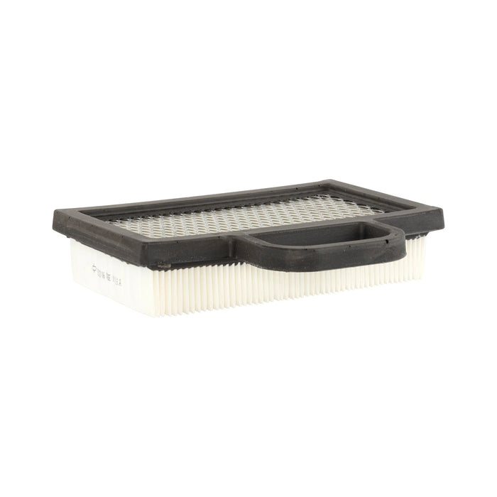 Briggs & Stratton 499486S with Pre-Filter