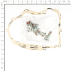 Briggs & Stratton 594195-KIT