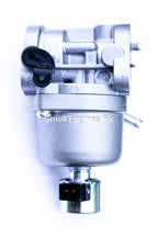 Briggs & Stratton 699807