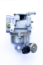 Briggs & Stratton 791230