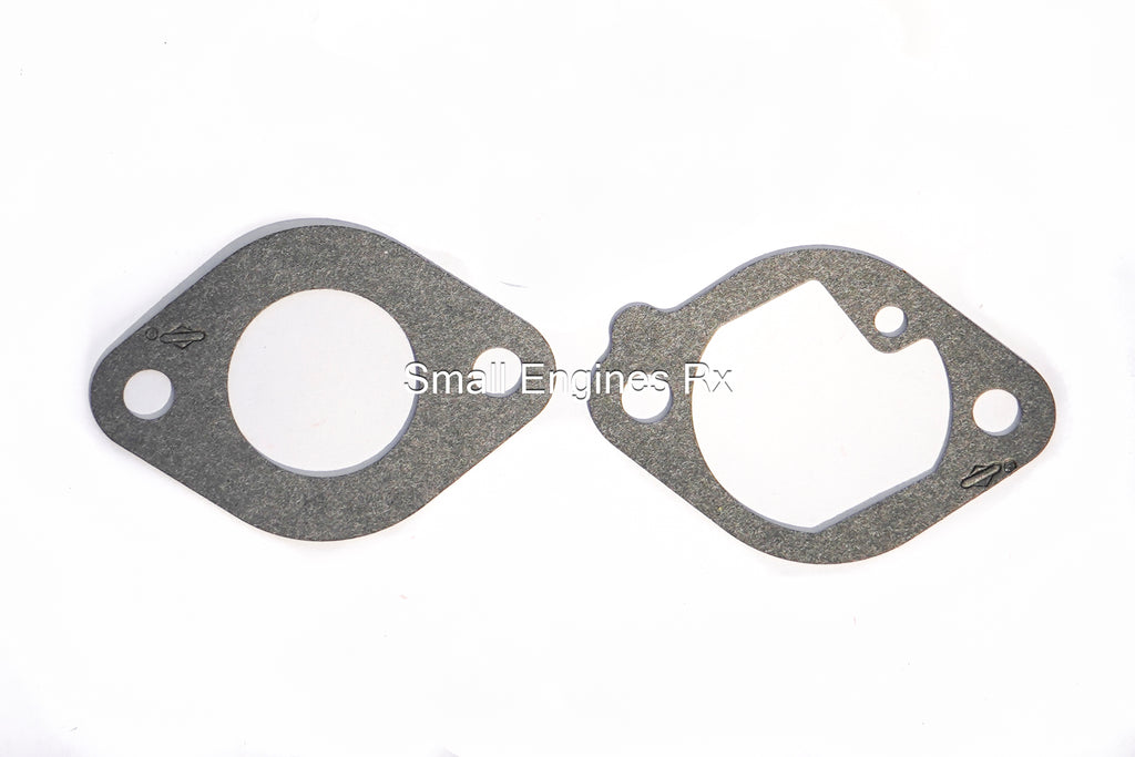 Briggs & Stratton 699807