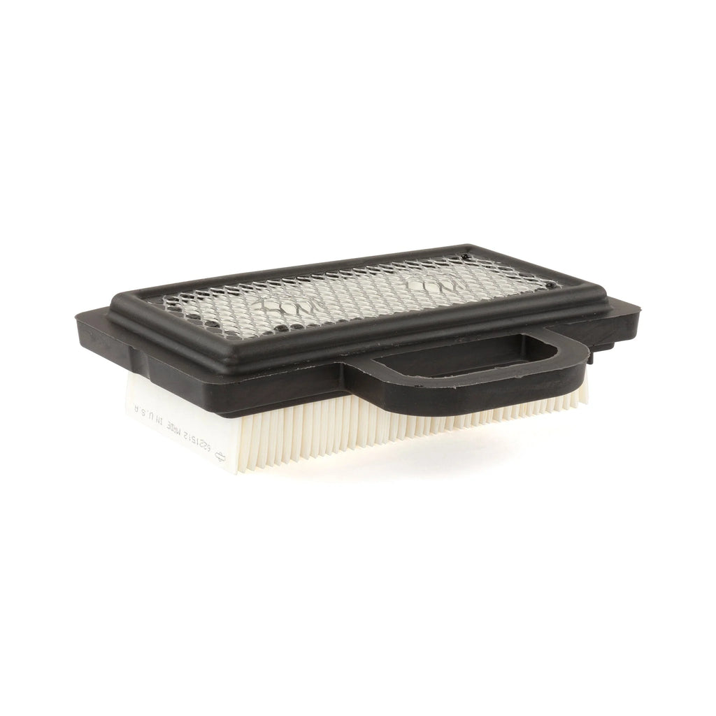 Briggs and Stratton 792101 with Pre-Filter