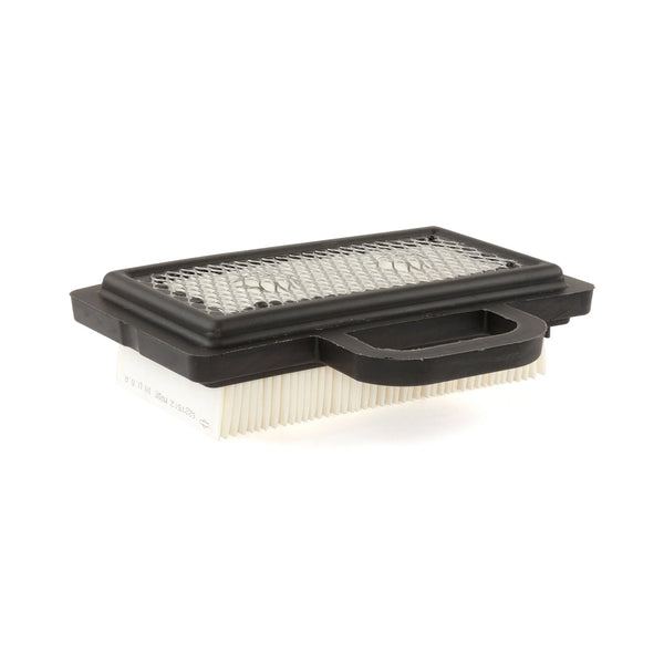 Briggs and Stratton 792101 with Pre-Filter