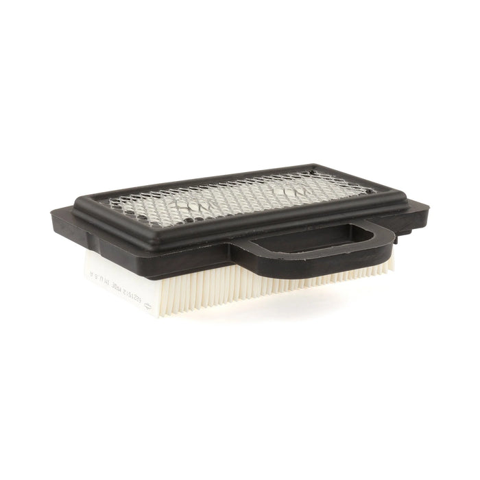 Briggs and Stratton 792101 with Pre-Filter