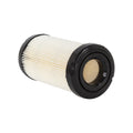 Briggs & Stratton 793569 with Pre-Filter