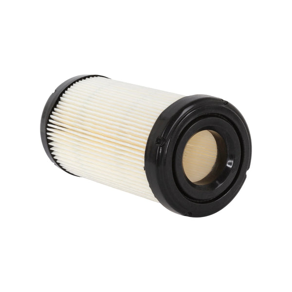 Briggs & Stratton 793569 with Pre-Filter