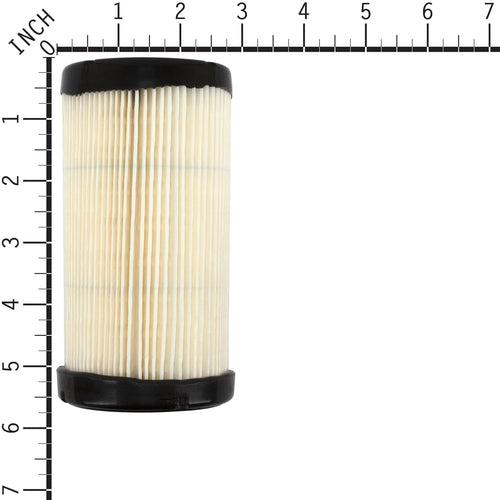 Briggs & Stratton 793569 with Pre-Filter