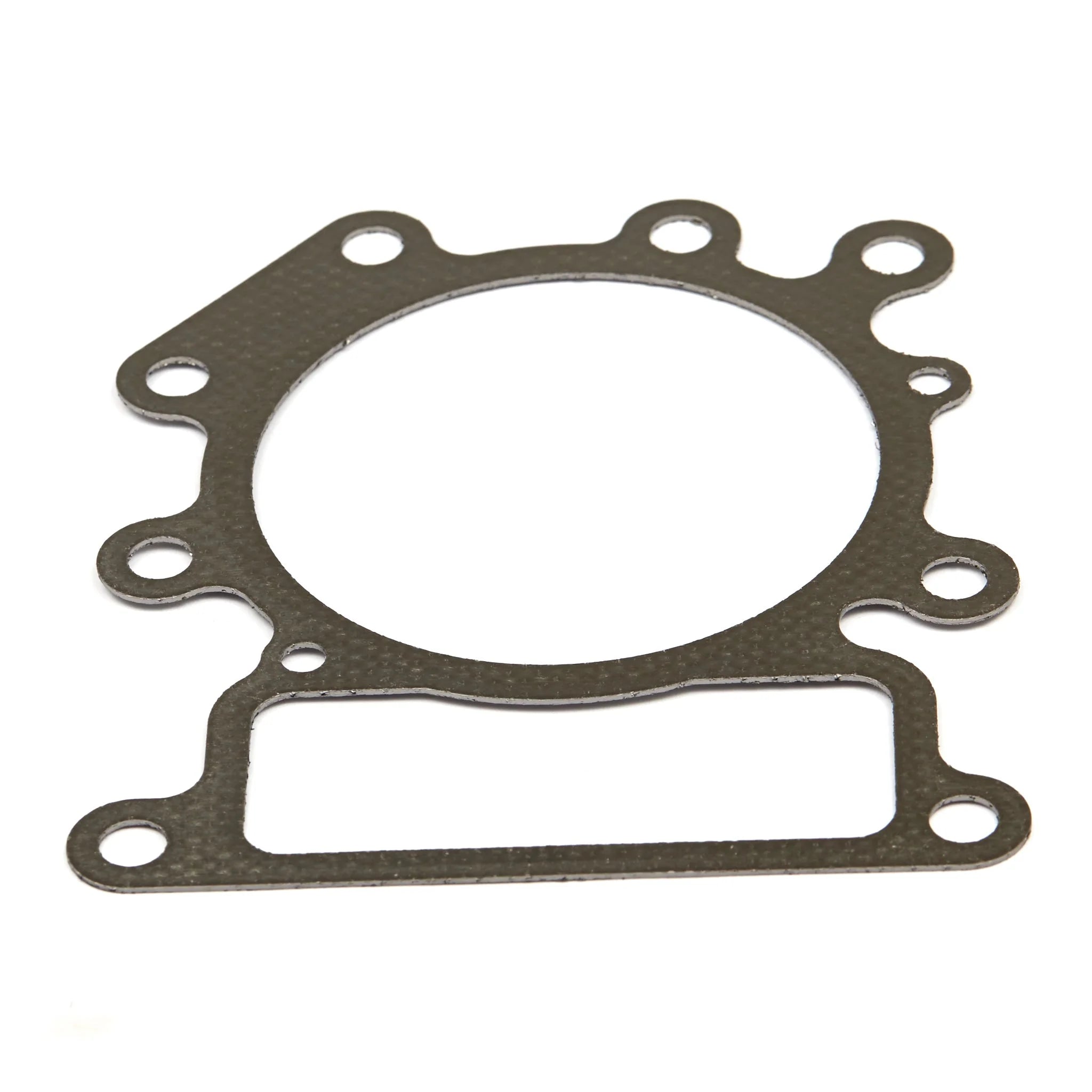 Briggs & Stratton 794114-KIT