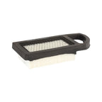 Briggs & Stratton 794421 with Pre-Filter