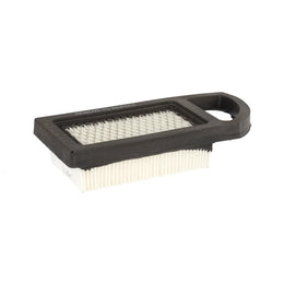 Briggs & Stratton 794421 with Pre-Filter