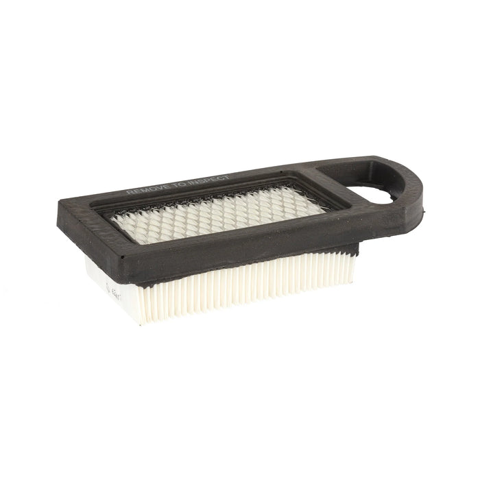 Briggs & Stratton 794421 with Pre-Filter