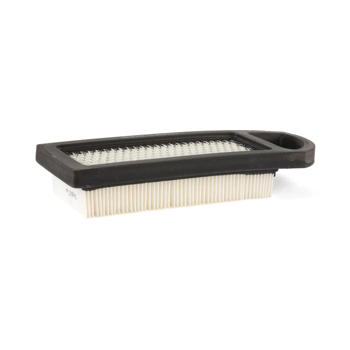Briggs & Stratton 794422 with Pre-Filter
