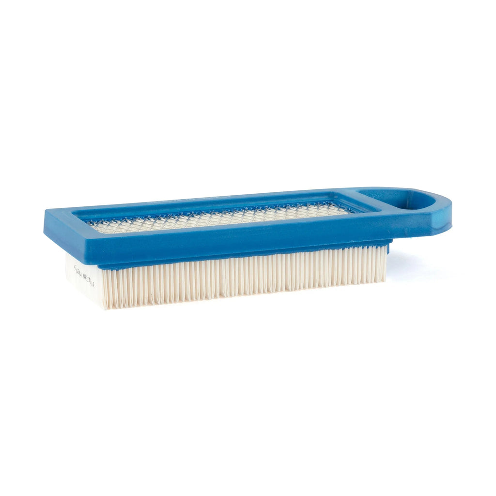 Briggs & Stratton 795115 with Pre-Filter