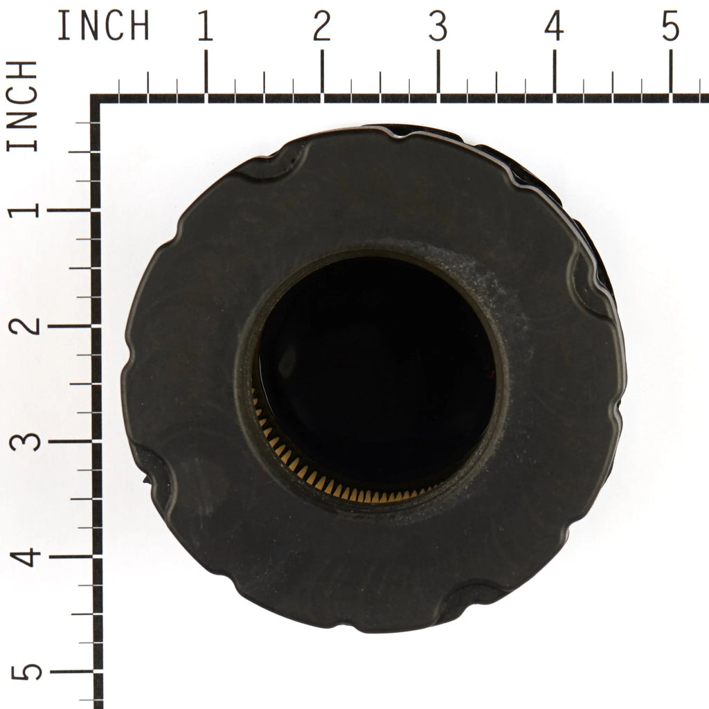 Briggs and Stratton 798897 with Pre- Filter