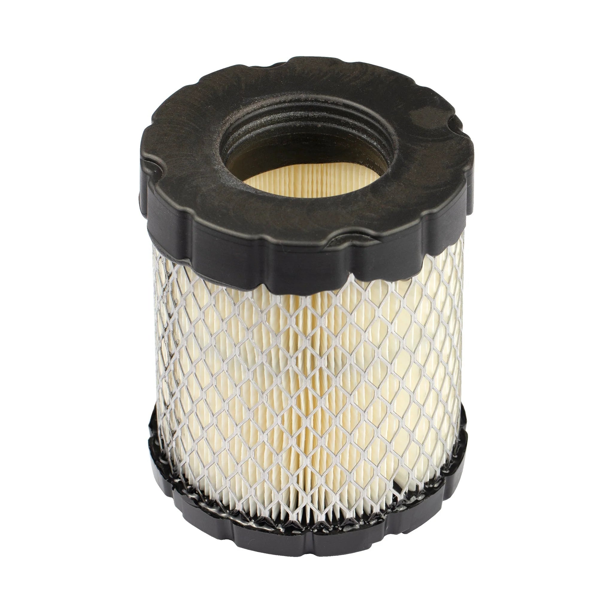 Briggs and Stratton 798897 with Pre- Filter