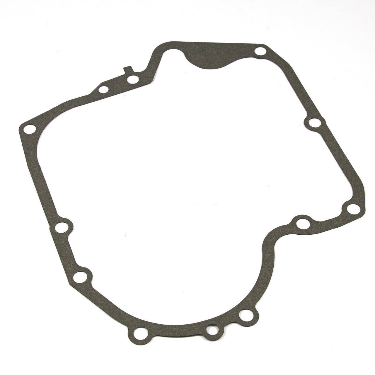 Briggs & Stratton Camshaft Replacement Kit 84005207-KIT