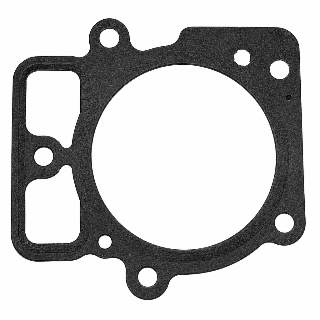 Briggs & Stratton 796851-KIT