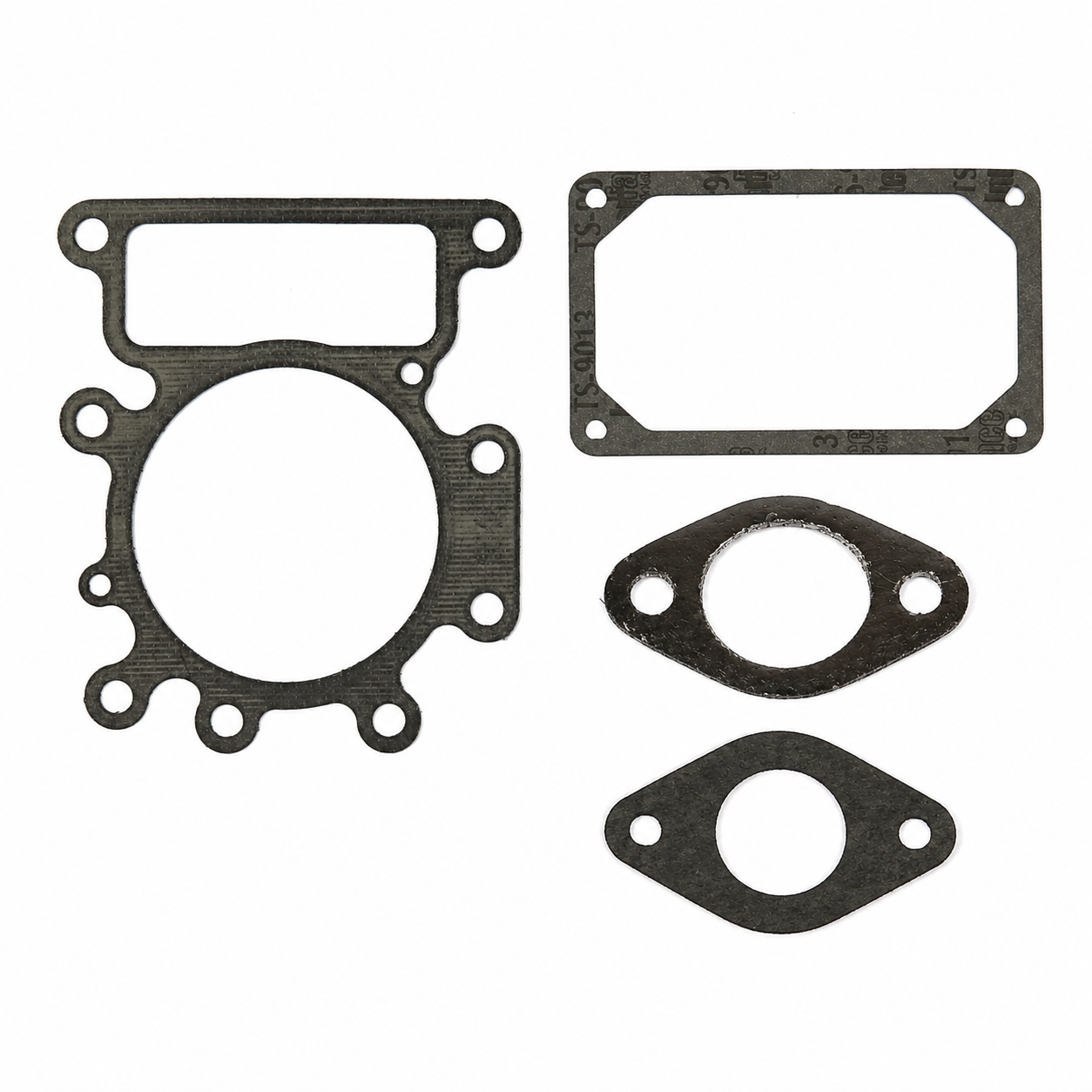 Briggs & Stratton 796584-KIT